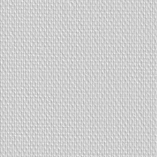 TOILE DE VERRE SKINGLASS TISSÉE