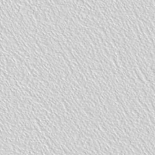 SKINGLASS TALOCHE 938