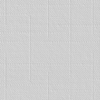 SKINGLASS DECOR TRAME 904