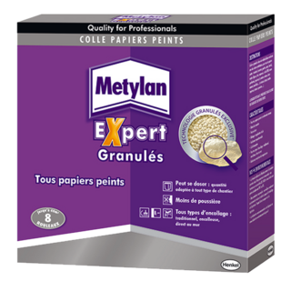 METYLAN EXPERT