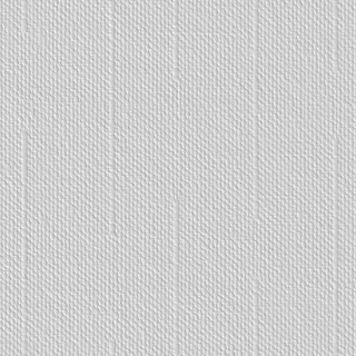 SKINGLASS DECOR PLUIE 901